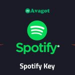 Spotify Account