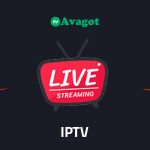 1 Month with 1 connection